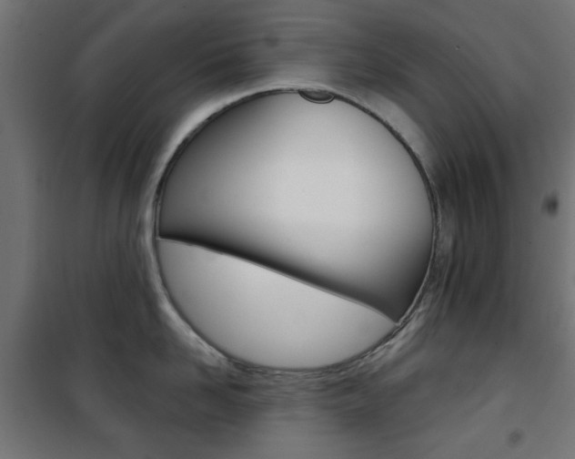 X0000101470958200807071216