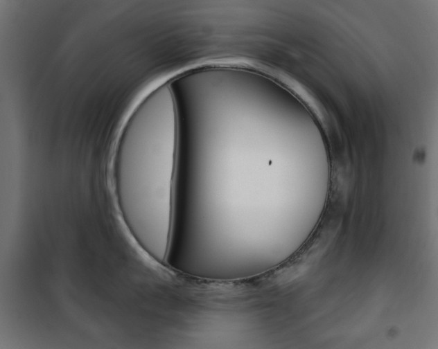 X0000101470959200807071216