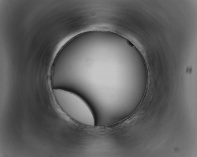 X0000101470960200807071216