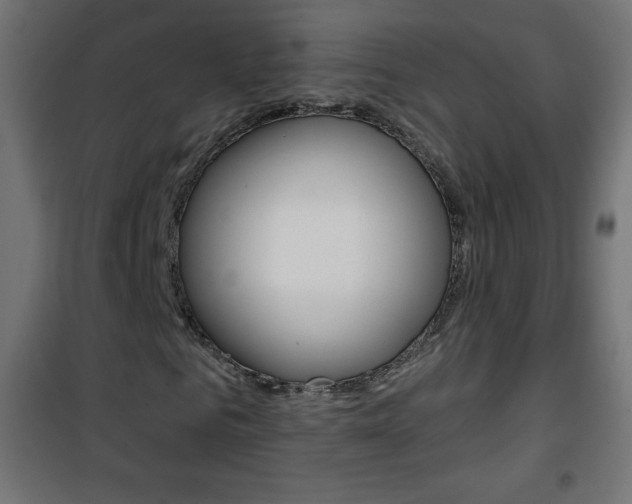 X0000101470961200807071215