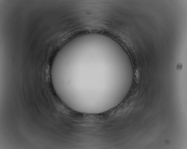 X0000101470963200807071215