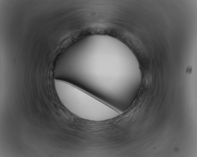 X0000101470964200807071215