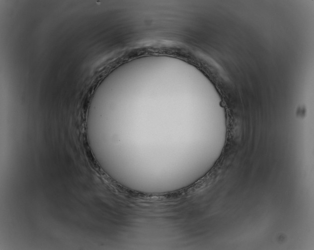 X0000101470966200807071215