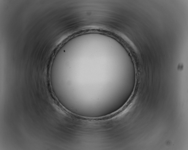 X0000101470969200807071215