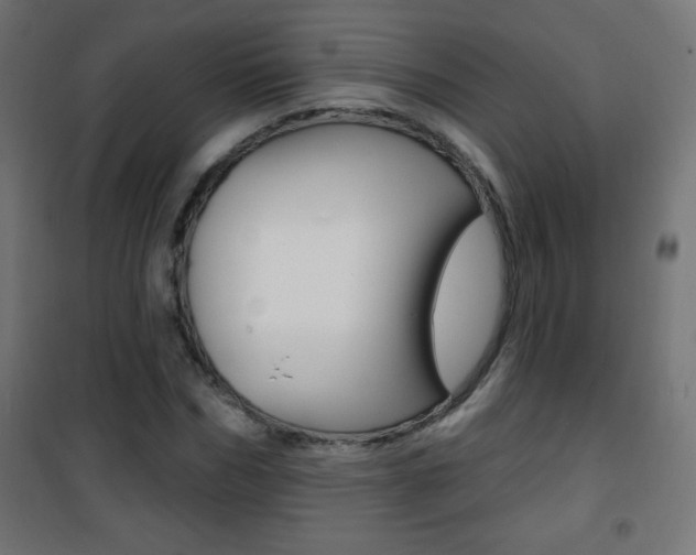 X0000101470970200807071215