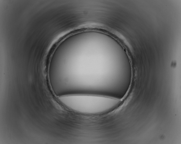 X0000101470973200807071215