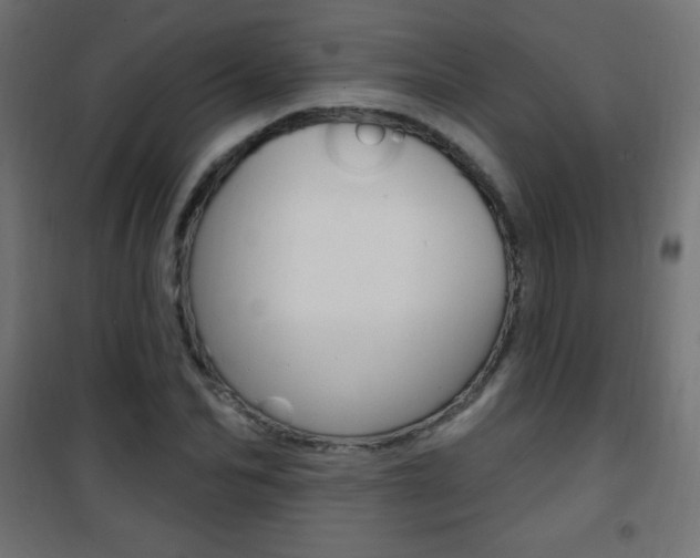X0000101470974200807071215