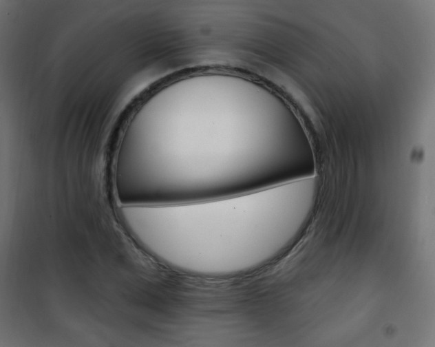 X0000101470975200807071215