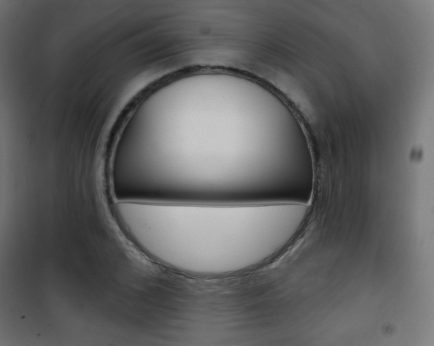 X0000101470976200807071215