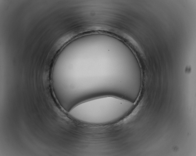 X0000101470977200807071215