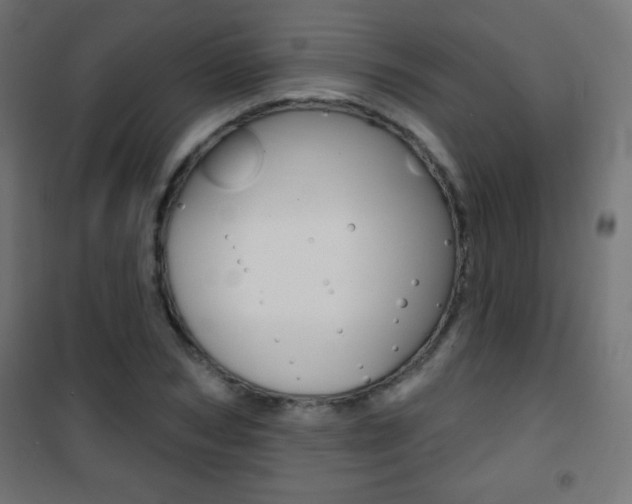X0000101470978200807071215