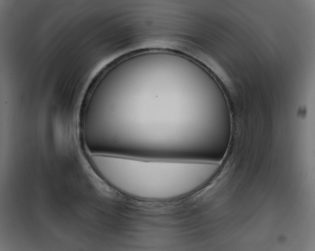 X0000101470980200807071215