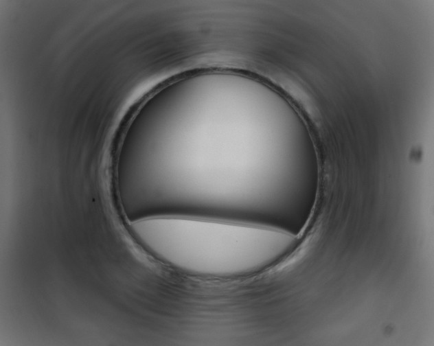 X0000101470981200807071215