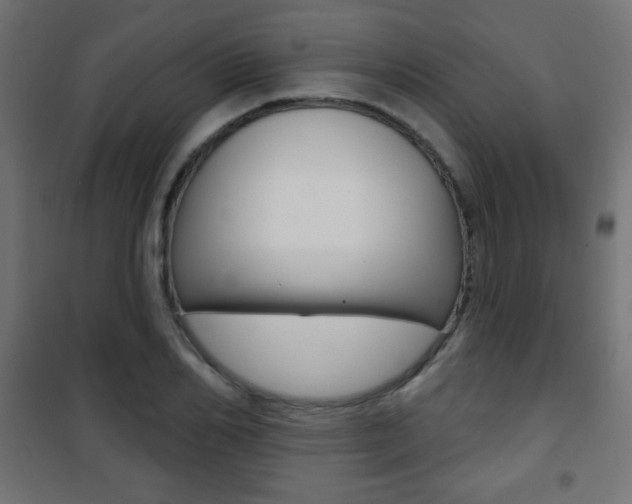 X0000101470982200807071215
