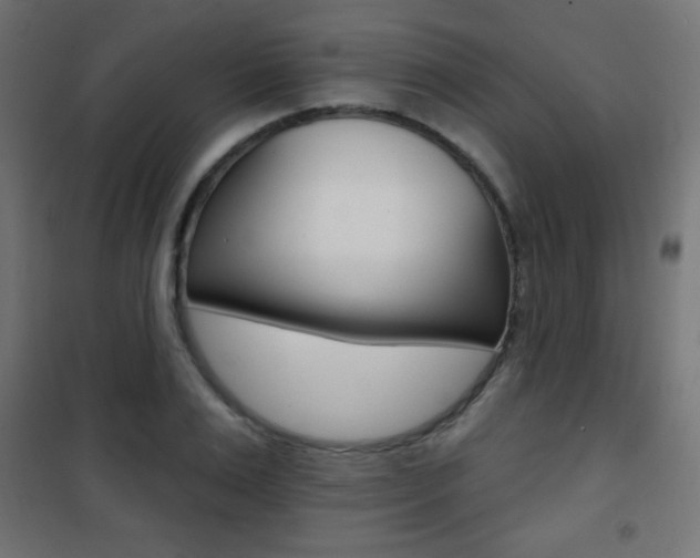 X0000101470983200807071215