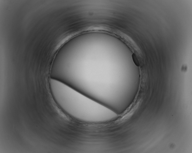 X0000101470985200807071215
