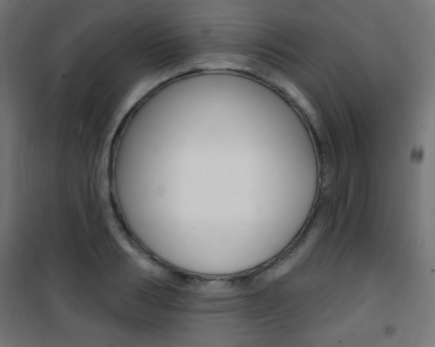 X0000101470986200807071215