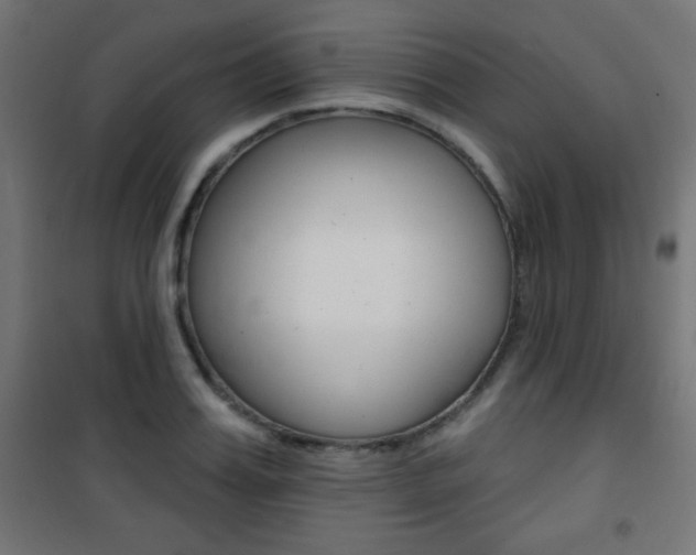 X0000101470987200807071215