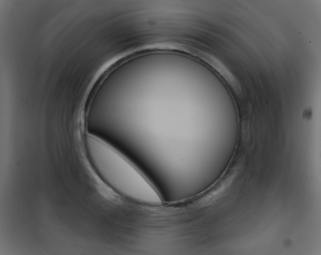 X0000101470988200807071215