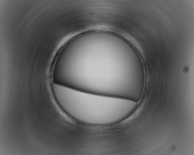 X0000101470989200807071215