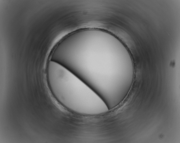 X0000101470990200807071215