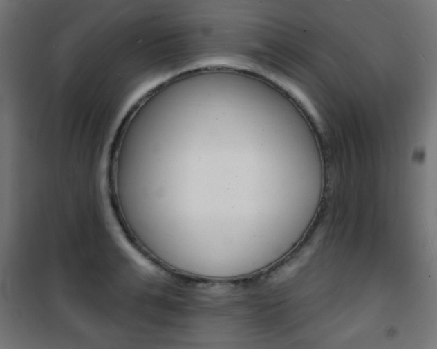 X0000101470991200807071215