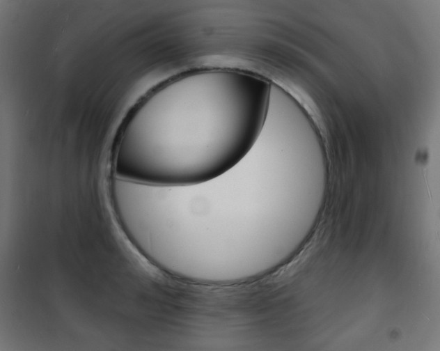X0000101470992200807071215