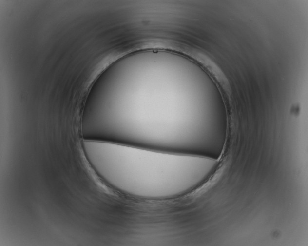 X0000101470993200807071215