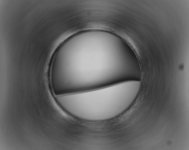 X0000101470995200807071215