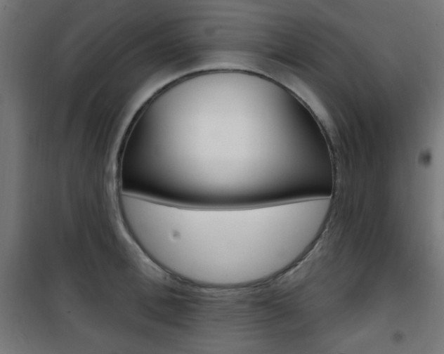 X0000101470996200807071215