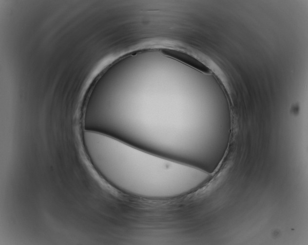 X0000101470997200807071215