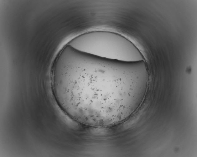 X0000101470998200807071215