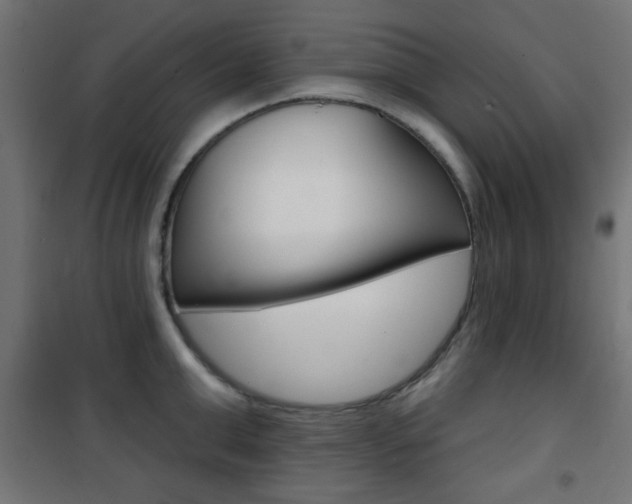 X0000101470999200807071215
