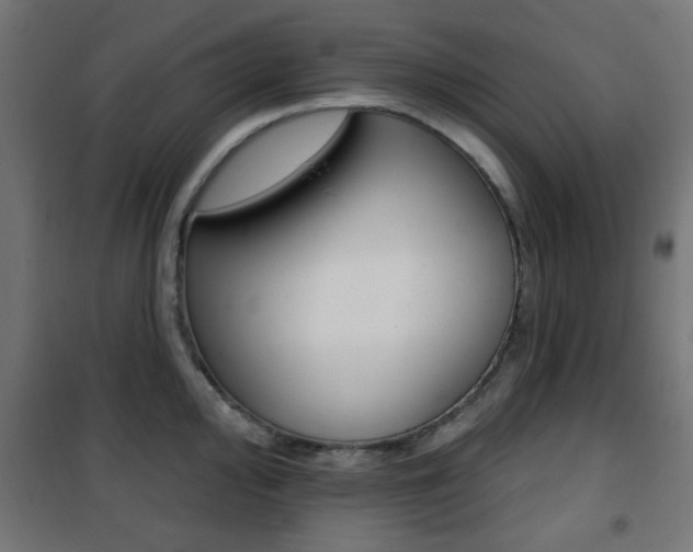 X0000101471000200807071214