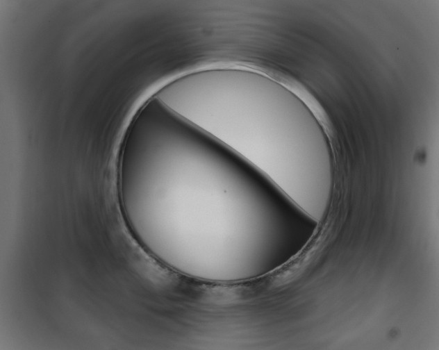 X0000101471004200807071214