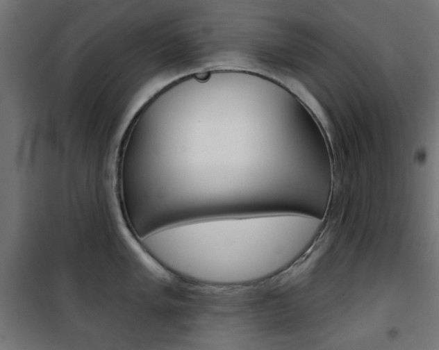 X0000101471005200807071214