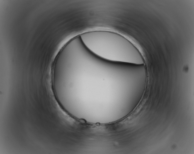 X0000101471006200807071214