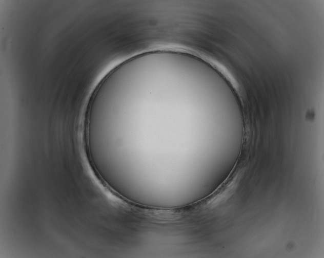 X0000101471007200807071214