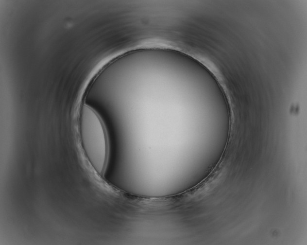 X0000101471008200807071214