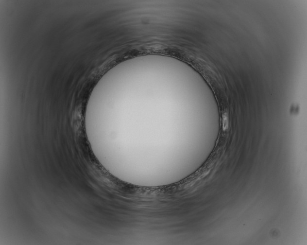 X0000101471011200807071214