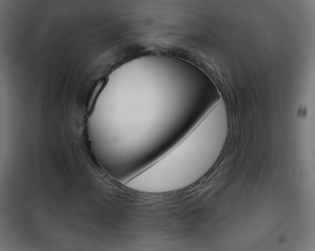 X0000101471012200807071214