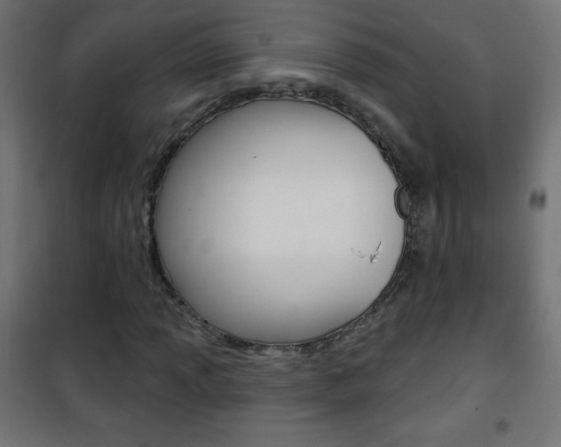 X0000101471013200807071214
