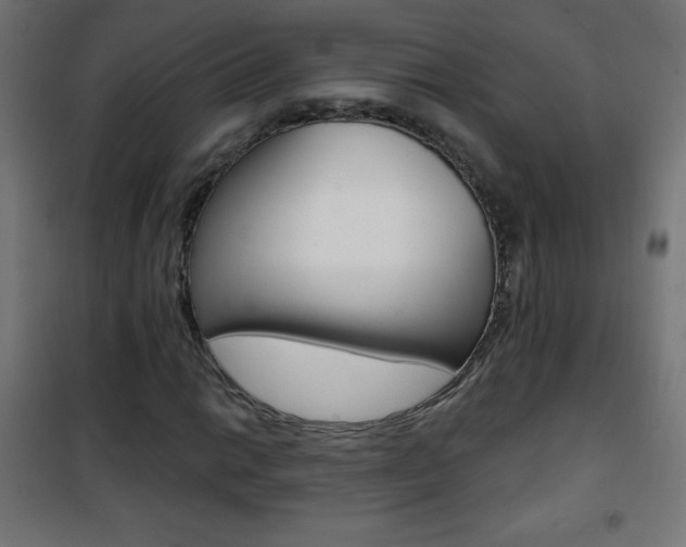 X0000101471014200807071214