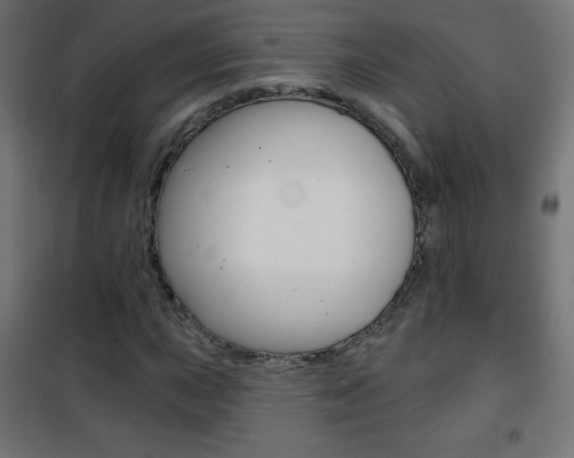 X0000101471015200807071214