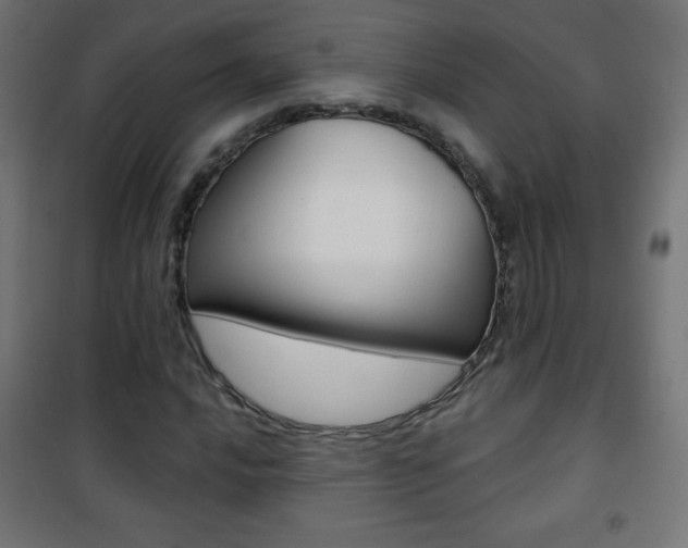 X0000101471016200807071214