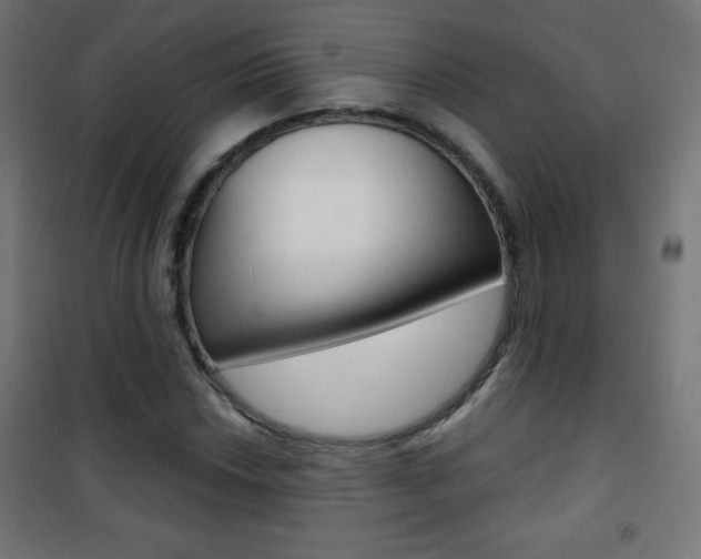 X0000101471018200807071214