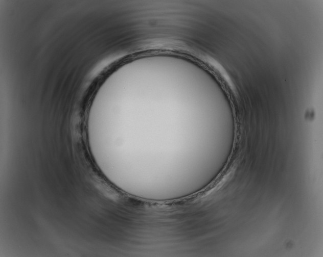 X0000101471019200807071214
