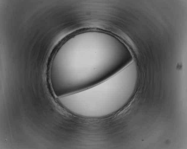 X0000101471020200807071214
