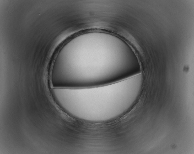 X0000101471024200807071214