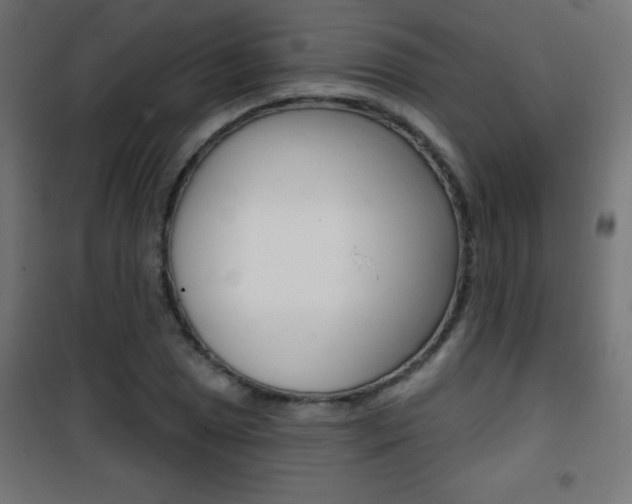 X0000101471025200807071214